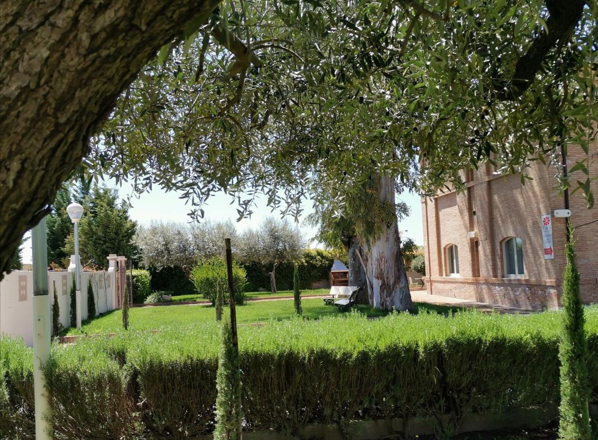 Flos Guest House Lucera Exterior photo
